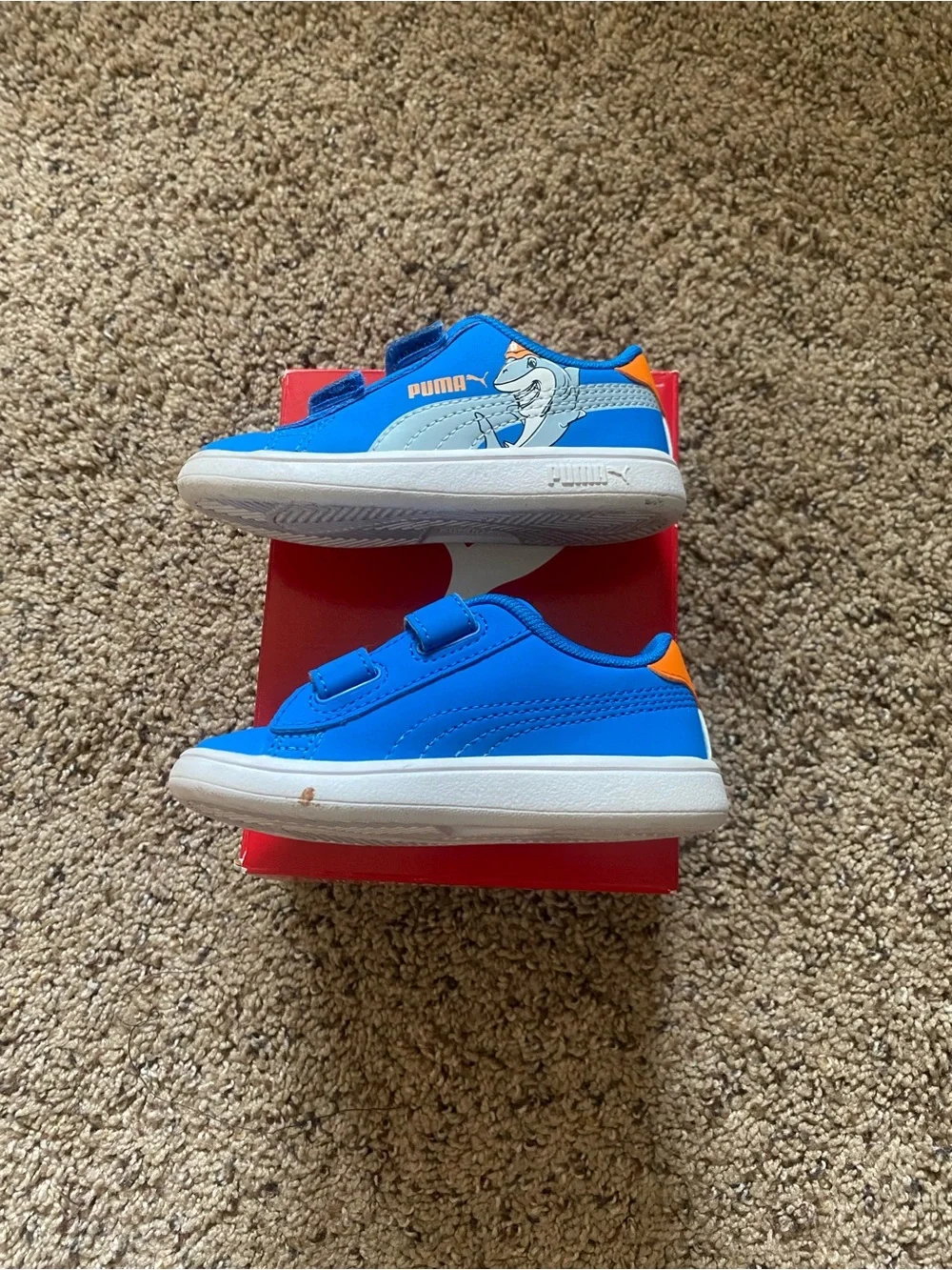 6C Shoes